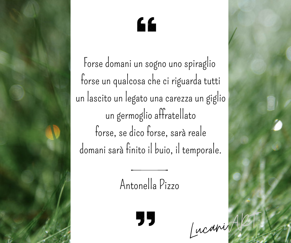 Le cartoline di LucaniArt/ Antonella Pizzo
